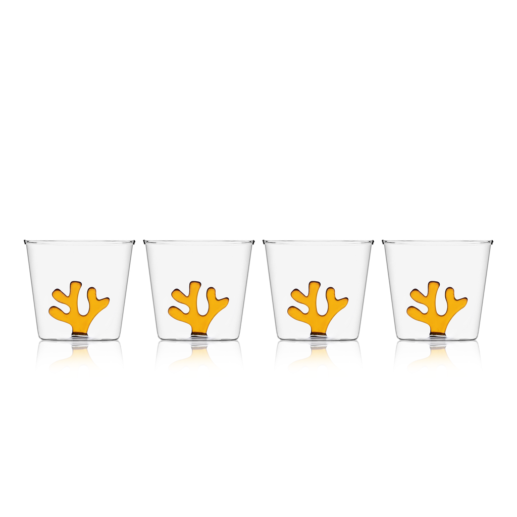 Water Tumblers